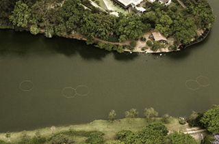 Geometr&iacute;as Daninhas, Intervenci&oacute;n, 2006 .